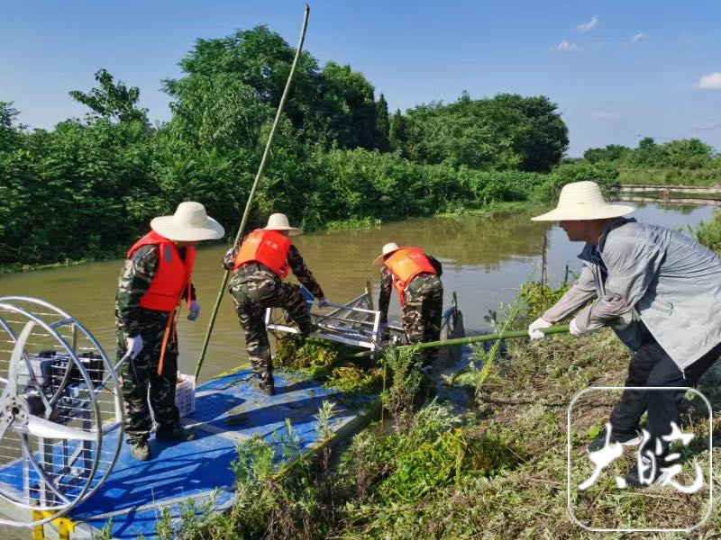 一台机器可顶10个工人合肥用黑科技给水草理发(图2)